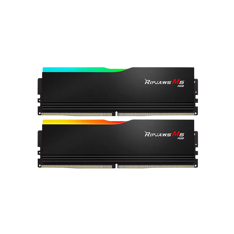 رم DDR5 جی اسکیل