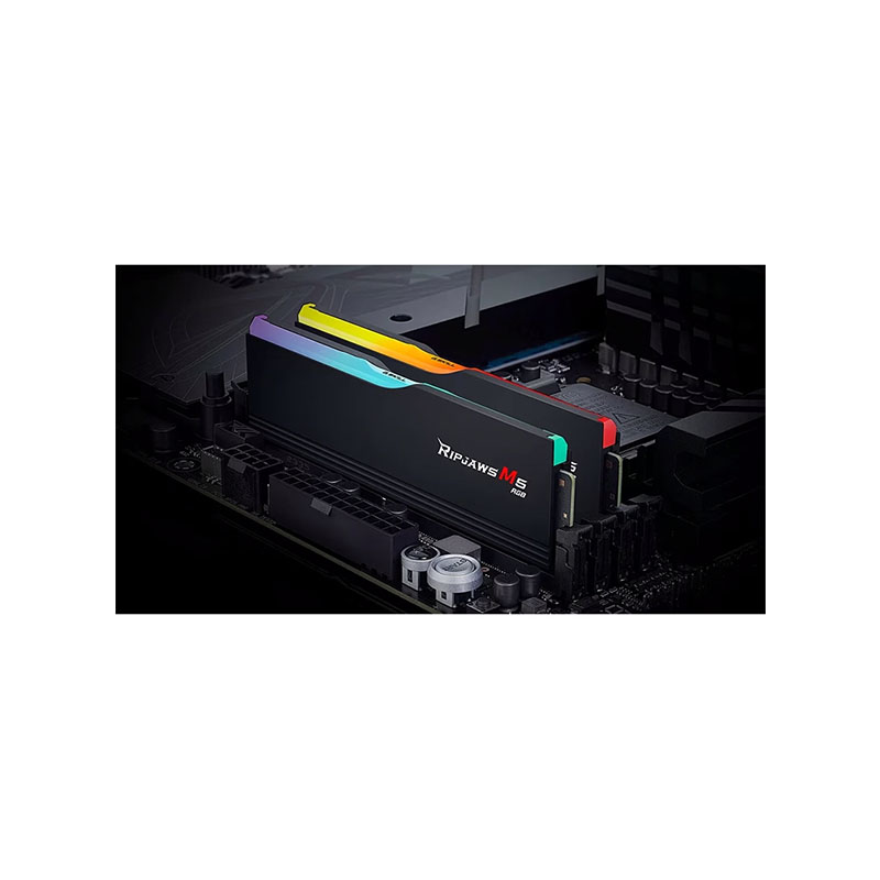 DDR5 جی اسکیل